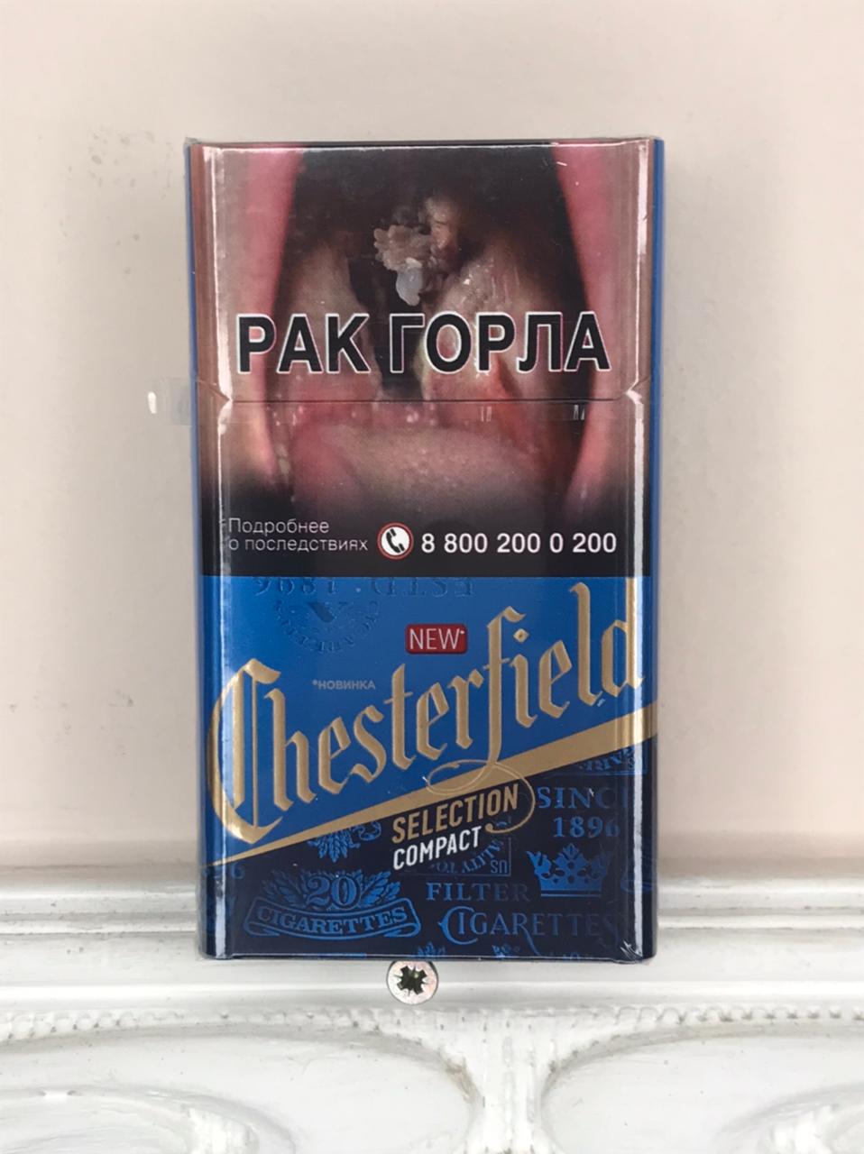 Сигареты Chesterfield Compact. Сигареты Честерфилд Селекшн компакт. Сигареты Chesterfield Compact Blue. Сигареты Честер Селекшен компакт.